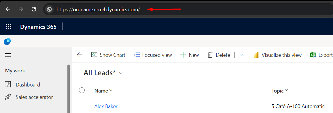 Dynamics 365 Conversion Leads